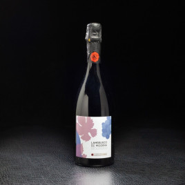 Lambrusco Di Modena bio 75cl Domaine Cantine  Italie