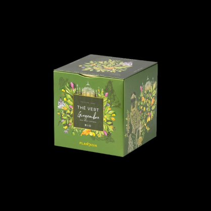 Thé vert gingembre bio sachets 24x48g Provence d’Antan  Thé vert