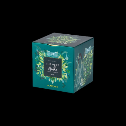 Thé vert menthe bio sachets 24x48g Provence d’Antan  Thé vert
