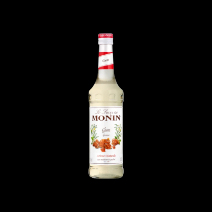 Sirop de gum 70cl Monin  Sirops