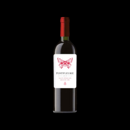 ST EMILION GRAND CRU BIO 2019 75CL DOMAINE FONFLEURIE  Accueil