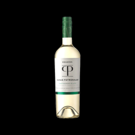 SAUVIGNON 2023 75CL DOMAINE CASAS PATRONALES  Accueil