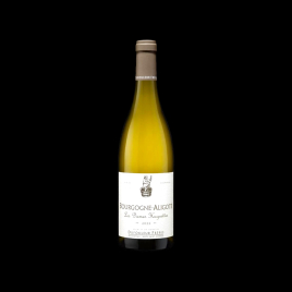 HCN BLANC DEMOISELLE HUGUETTE 2022 75CL DOMAINE DUFOULEUR  Accueil