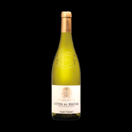 COTE DU RHONE ST VINCENT BLANC 2023 75CL DOMAINE MEFFRE  Accueil