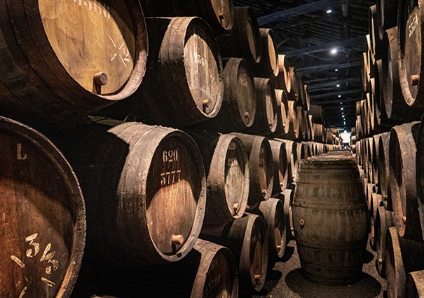 Cave à vins